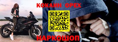 амф Гусев