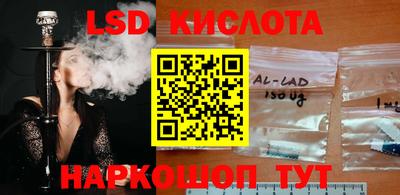 амф Гусев