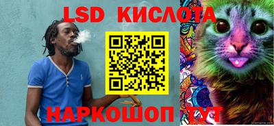 амф Гусев