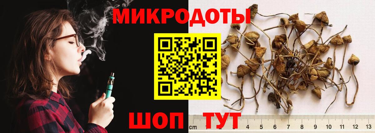 Муром  Псилоцибиновые грибы мухоморы  Вход с VPN  Псилоцибиновые грибы ЛСД 